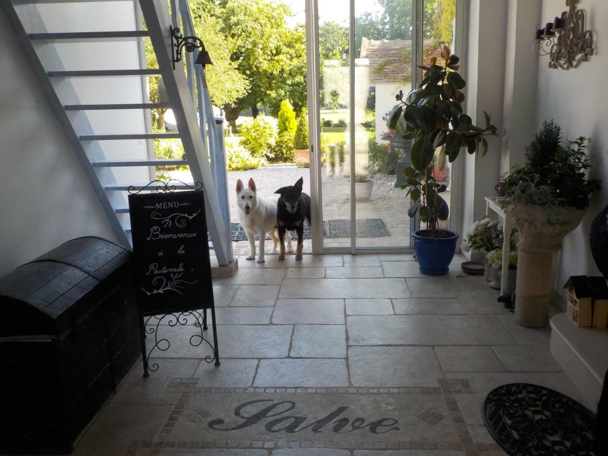 Vinneuf La Pastorale Bed & Breakfast エクステリア 写真